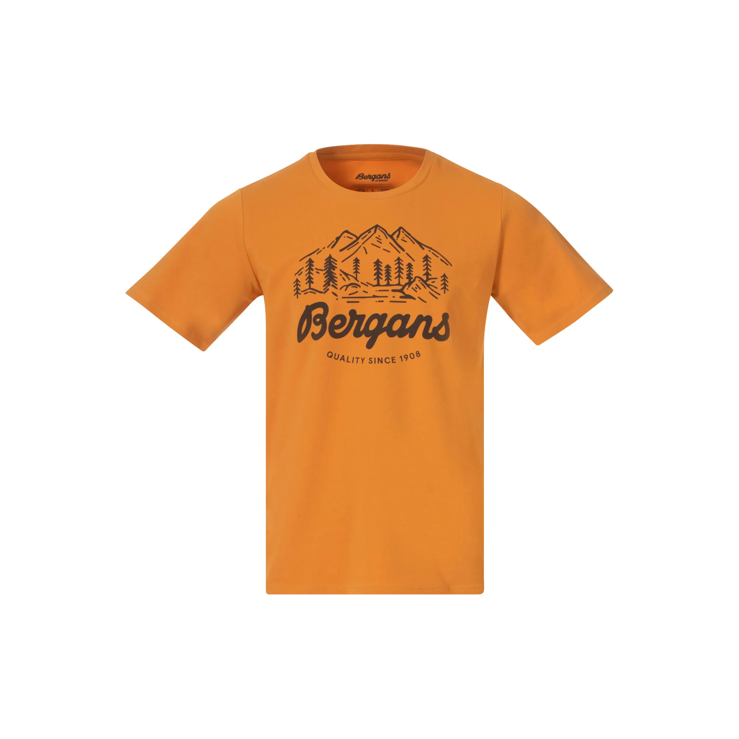 Classic V2 Tee - Bergans