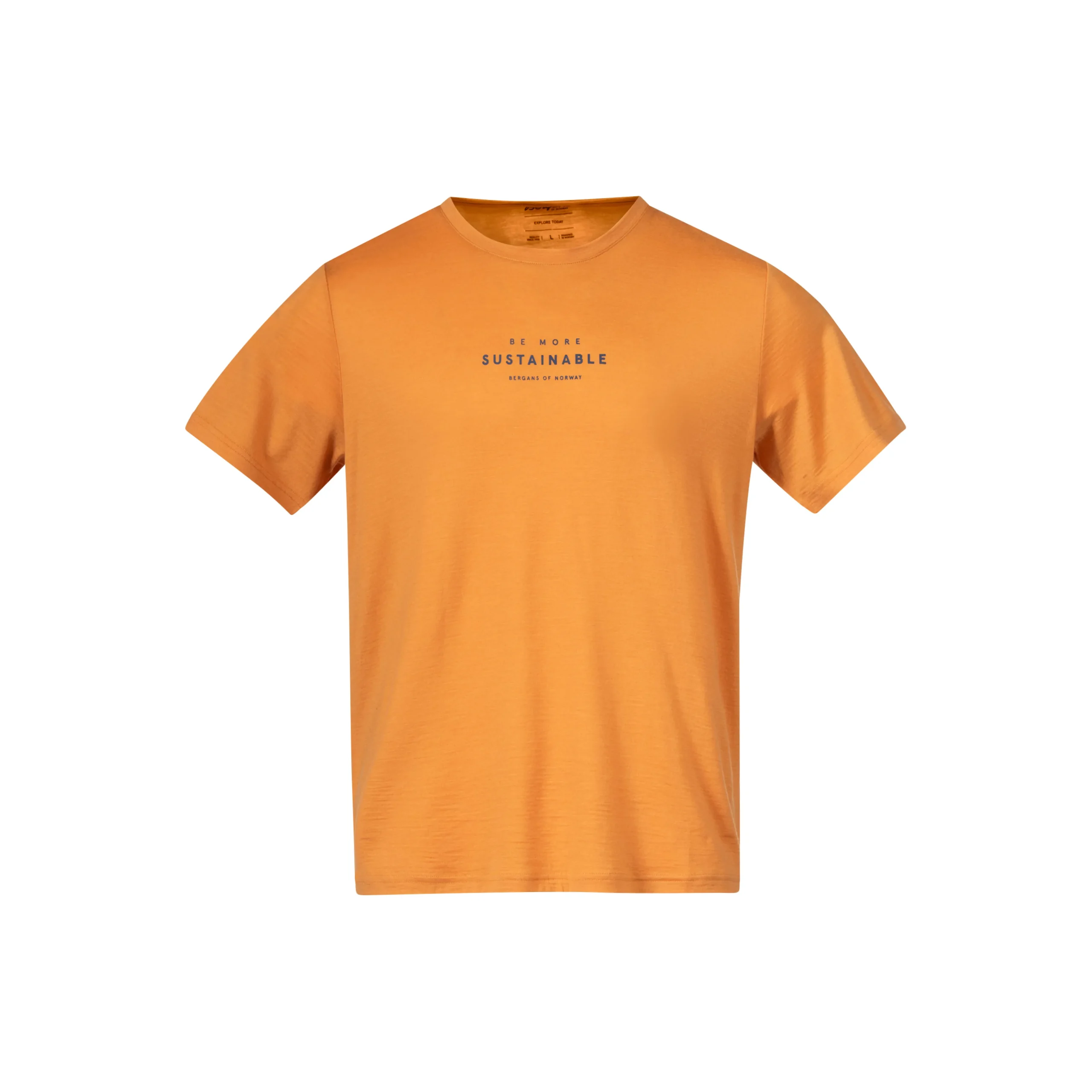 Graphic Wool Tee - Bergans
