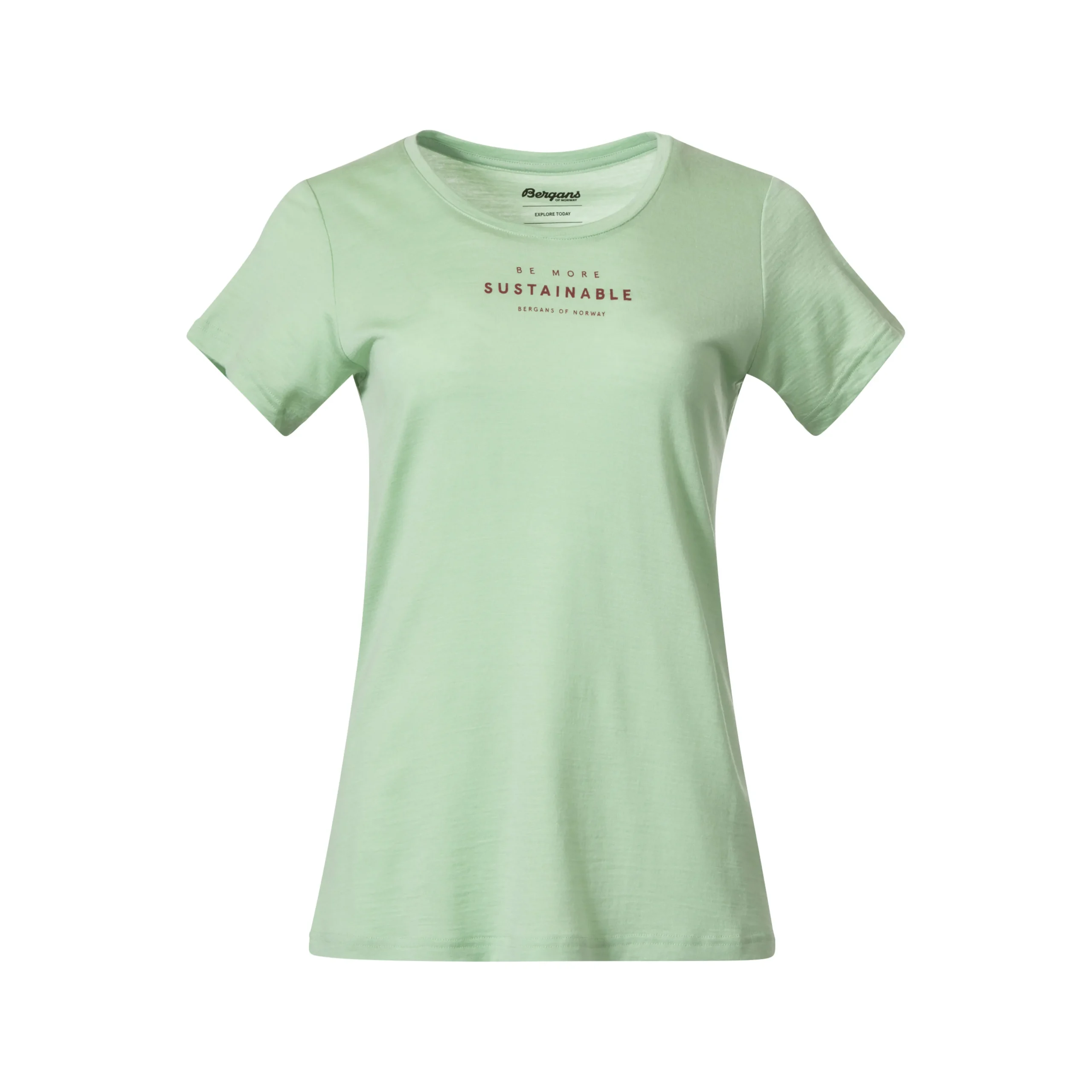 Graphic Wool W Tee - Bergans