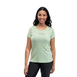 Graphic Wool W Tee - Bergans