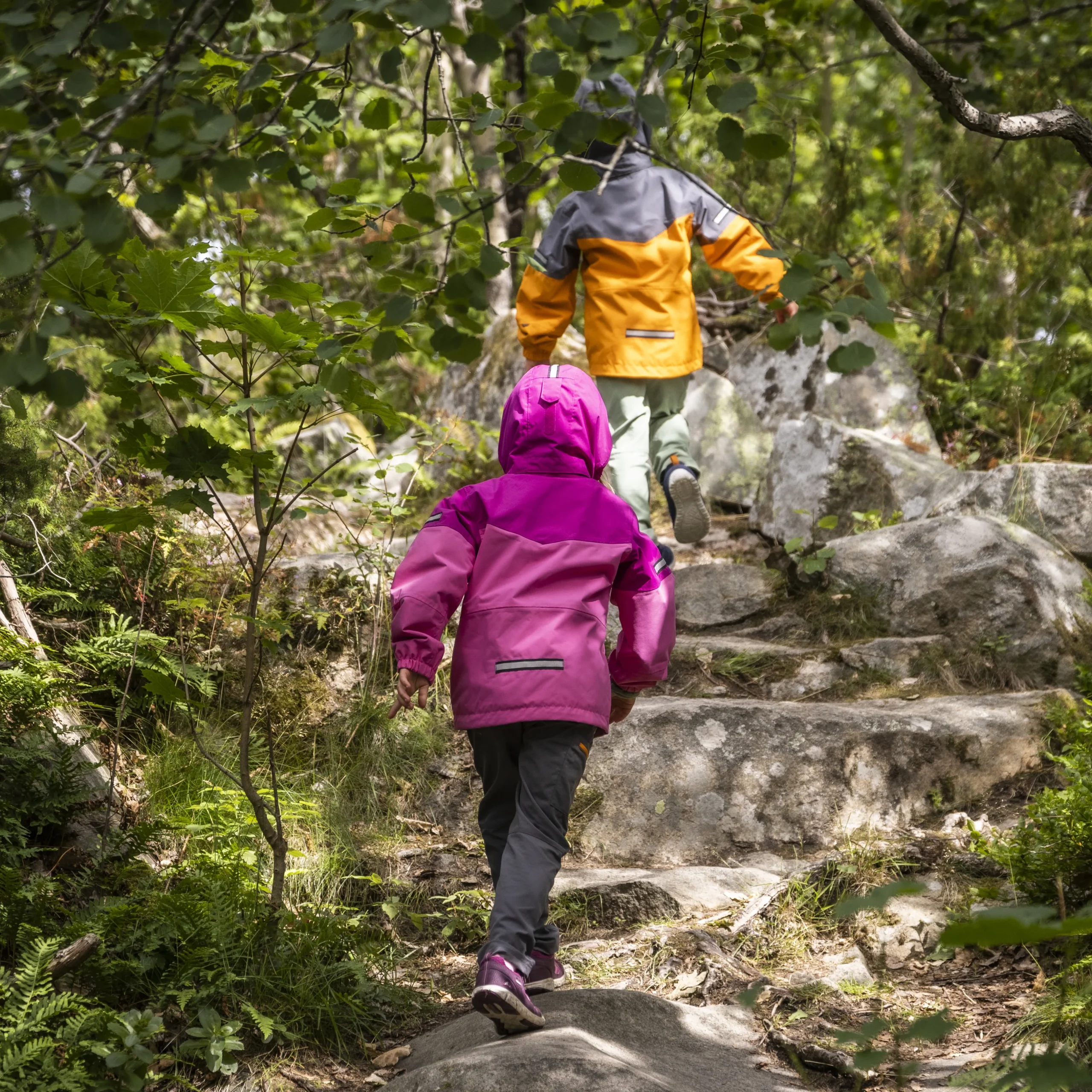 Lilletind Kids Jacket - Bergans