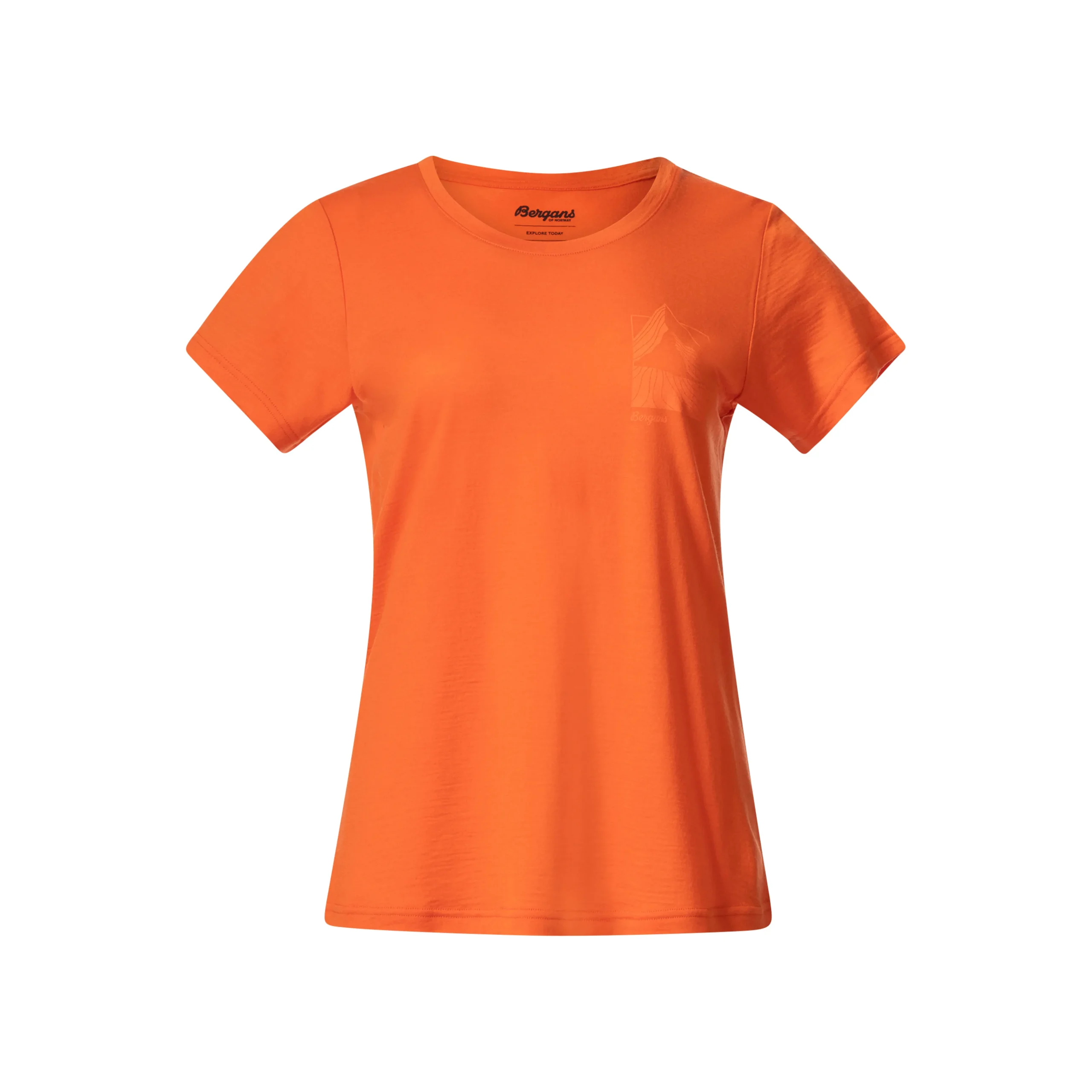 Rabot Mount Wool Tee Women - Bergans