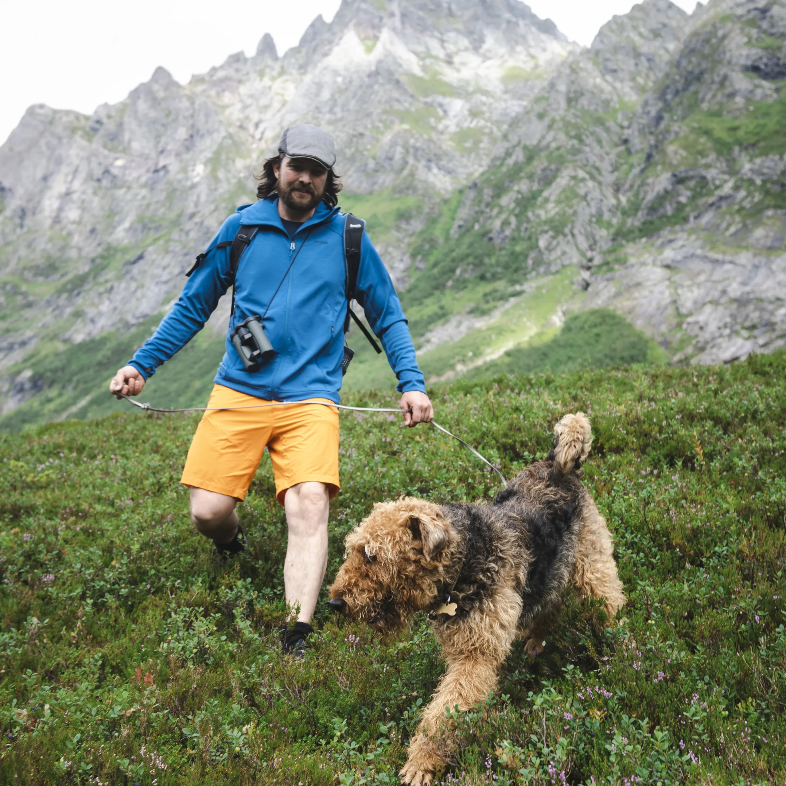 Vandre Light Softshell Shorts Men - Bergans